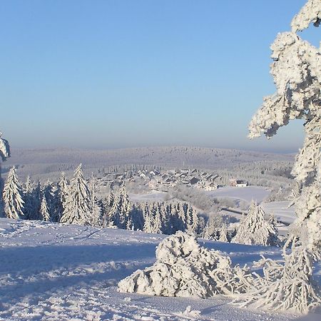 Romantik Berghotel Astenkrone Winterberg Exteriér fotografie