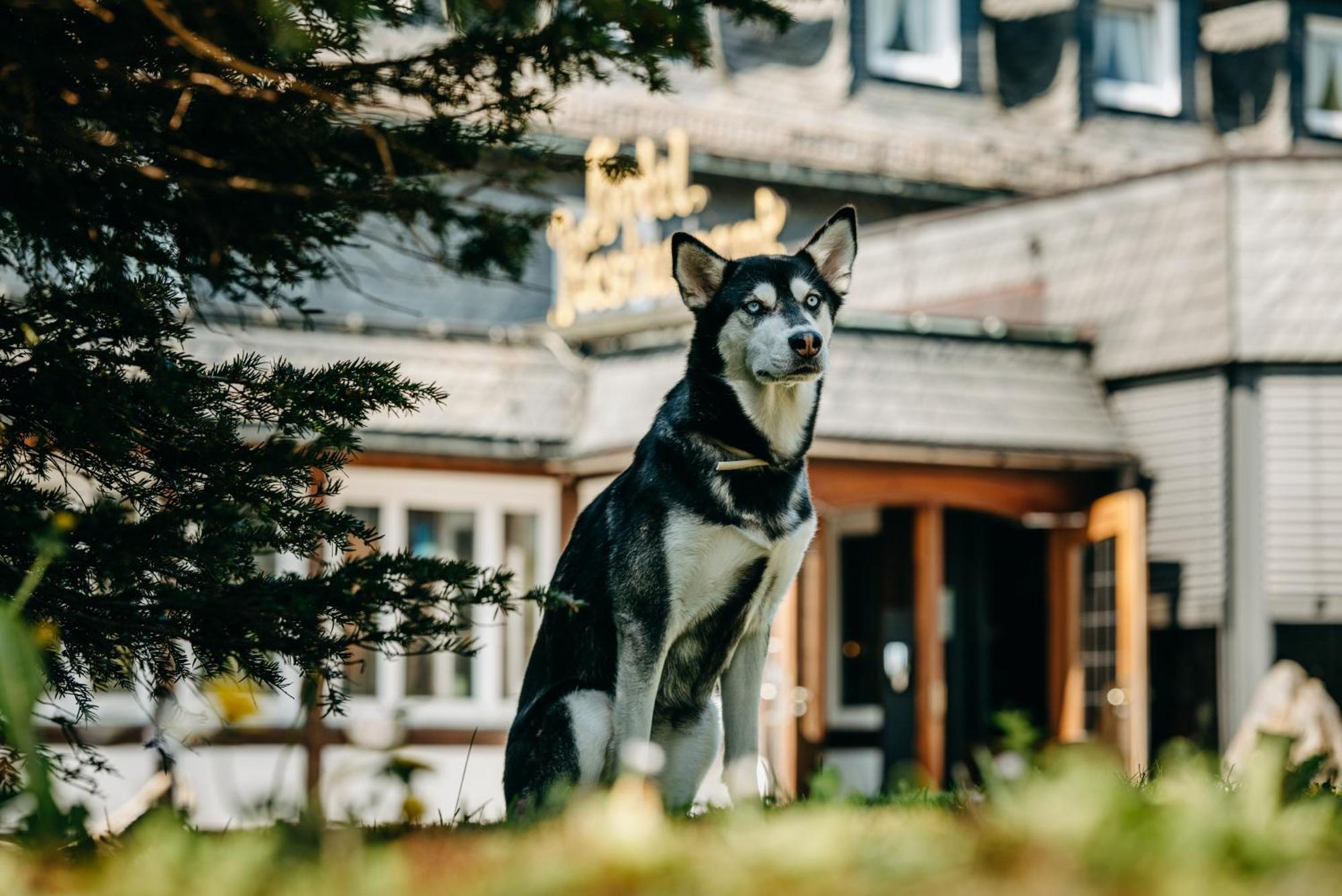 Romantik Berghotel Astenkrone Winterberg Exteriér fotografie